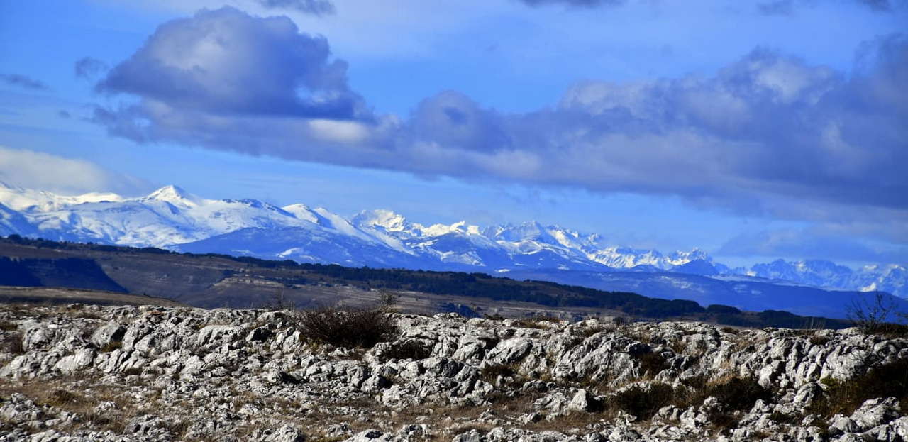 WhatsApp Image 2026-02-09 at 20.29.04